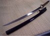 Katana Cheness Shobu Zukuri - Ayami 9260 Spring Steel (Ayame-9260)